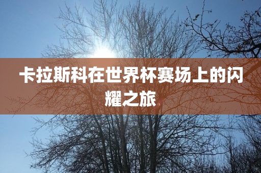 卡拉斯科在世界杯赛场上的闪耀之旅