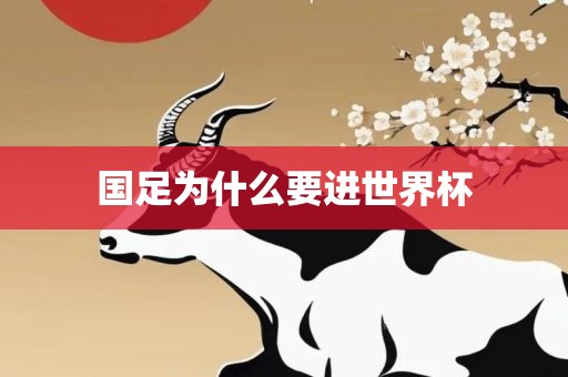 国足为什么要进世界杯