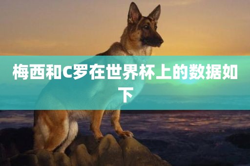 梅西和C罗在世界杯上的数据如下