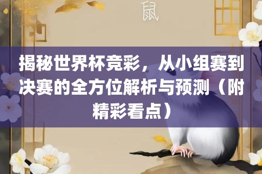 揭秘世界杯竞彩，从小组赛到决赛的全方位解析与预测（附精彩看点）