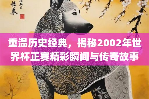 重温历史经典，揭秘2002年世界杯正赛精彩瞬间与传奇故事