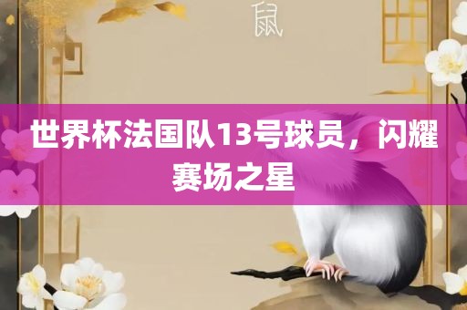 世界杯法国队13号球员，闪耀赛场之星
