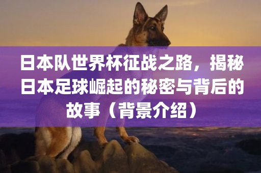 日本队世界杯征战之路，揭秘日本足球崛起的秘密与背后的故事（背景介绍）