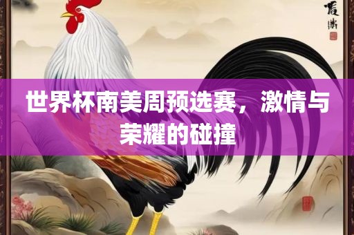 世界杯南美周预选赛，激情与荣耀的碰撞