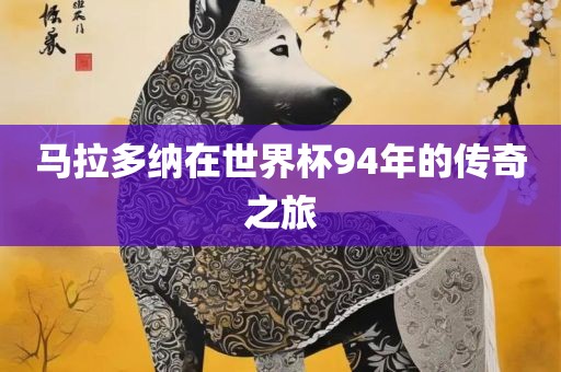 马拉多纳在世界杯94年的传奇之旅