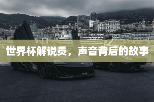 世界杯解说员，声音背后的故事