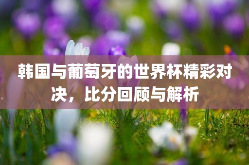 韩国与葡萄牙的世界杯精彩对决，比分回顾与解析