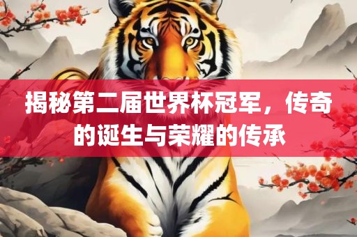 揭秘第二届世界杯冠军，传奇的诞生与荣耀的传承