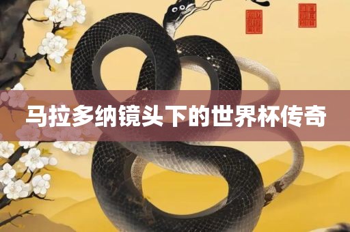 马拉多纳镜头下的世界杯传奇