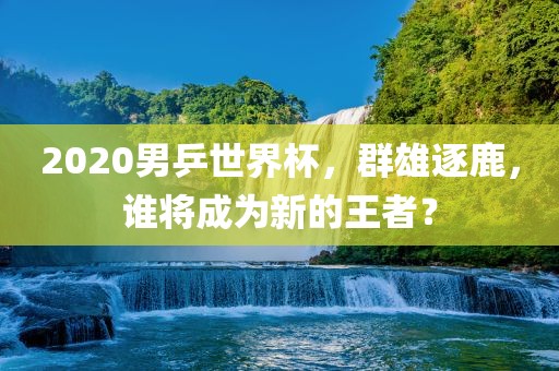 2020男乒世界杯，群雄逐鹿，谁将成为新的王者？