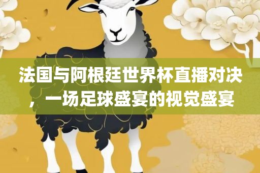 法国与阿根廷世界杯直播对决，一场足球盛宴的视觉盛宴