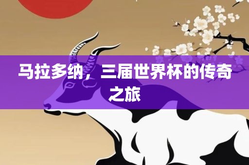 马拉多纳，三届世界杯的传奇之旅