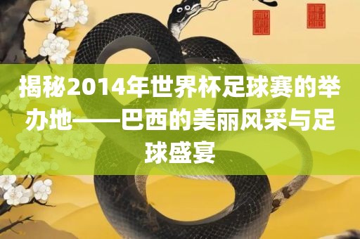 揭秘2014年世界杯足球赛的举办地——巴西的美丽风采与足球盛宴