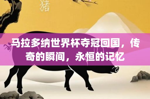 马拉多纳世界杯夺冠回国，传奇的瞬间，永恒的记忆