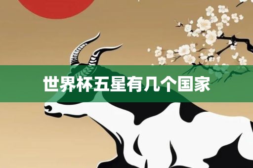 世界杯五星有几个国家