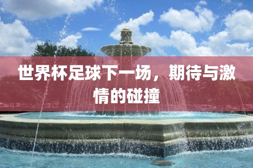 世界杯足球下一场，期待与激情的碰撞