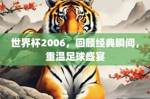 世界杯2006，回顾经典瞬间，重温足球盛宴
