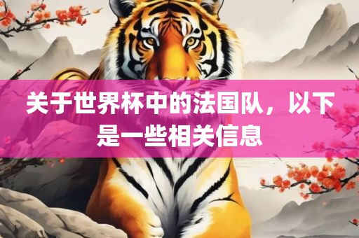 关于世界杯中的法国队，以下是一些相关信息