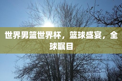 世界男篮世界杯，篮球盛宴，全球瞩目