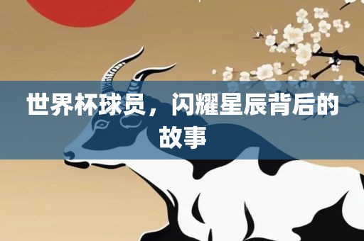 世界杯球员，闪耀星辰背后的故事