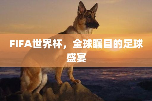 FIFA世界杯，全球瞩目的足球盛宴