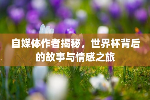 自媒体作者揭秘，世界杯背后的故事与情感之旅