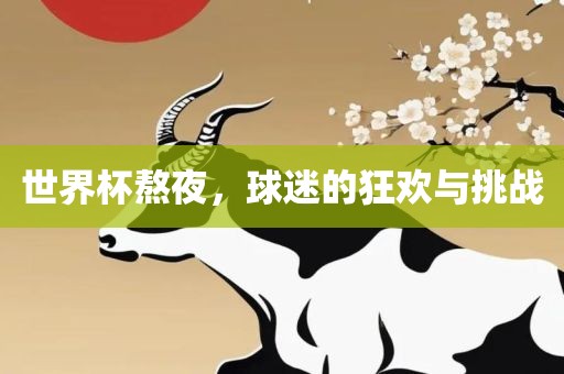 世界杯熬夜，球迷的狂欢与挑战