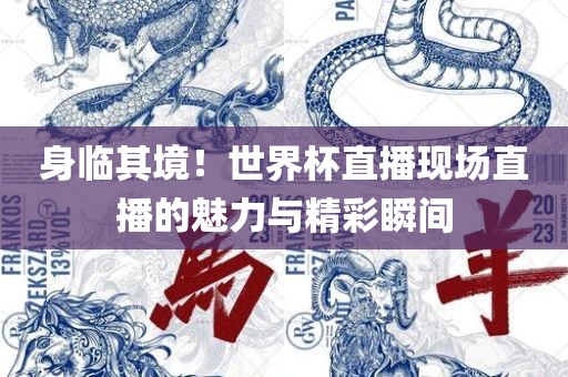 身临其境！世界杯直播现场直播的魅力与精彩瞬间