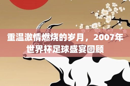 重温激情燃烧的岁月，2007年世界杯足球盛宴回顾