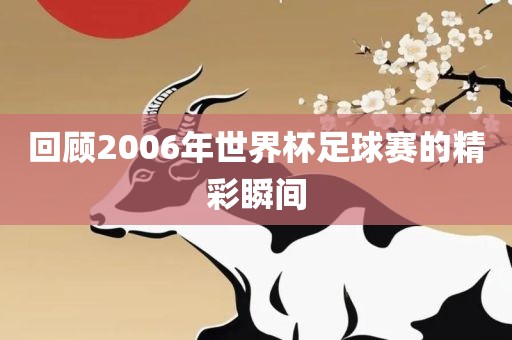 回顾2006年世界杯足球赛的精彩瞬间
