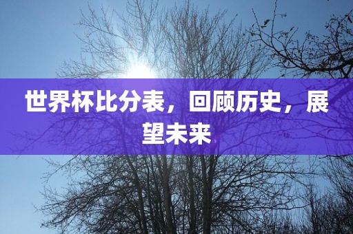 世界杯比分表，回顾历史，展望未来