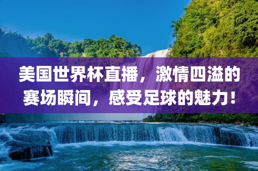 美国世界杯直播，激情四溢的赛场瞬间，感受足球的魅力！