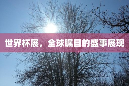 世界杯展,全球瞩目的盛事展现