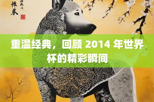 重温经典,回顾 2014 年世界杯的精彩瞬间