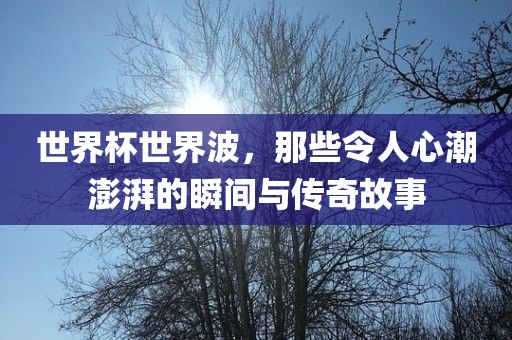 世界杯世界波,那些令人心潮澎湃的瞬间与传奇故事