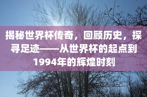 揭秘世界杯传奇,回顾历史,探寻足迹——从世界杯的起点到1994年的辉煌时刻