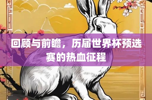 回顾与前瞻，历届世界杯预选赛的热血征程