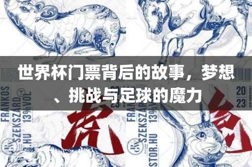 世界杯门票背后的故事,梦想、挑战与足球的魔力