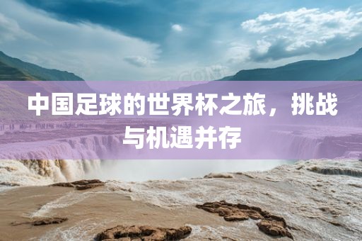 中国足球的世界杯之旅，挑战与机遇并存
