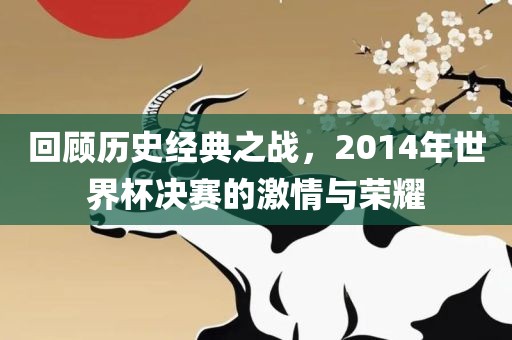 回顾历史经典之战，2014年世界杯决赛的激情与荣耀