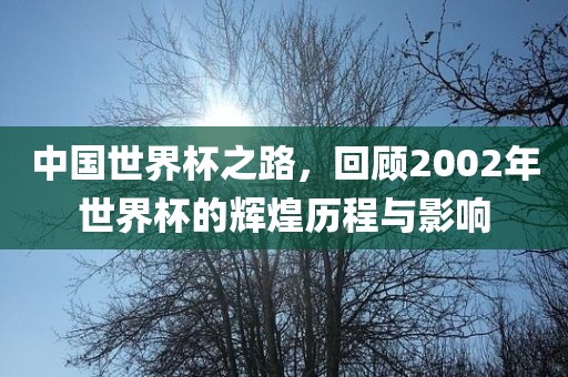 中国世界杯之路，回顾2002年世界杯的辉煌历程与影响