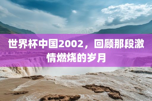 世界杯中国2002，回顾那段激情燃烧的岁月