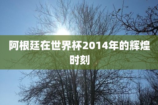 阿根廷在世界杯2014年的辉煌时刻