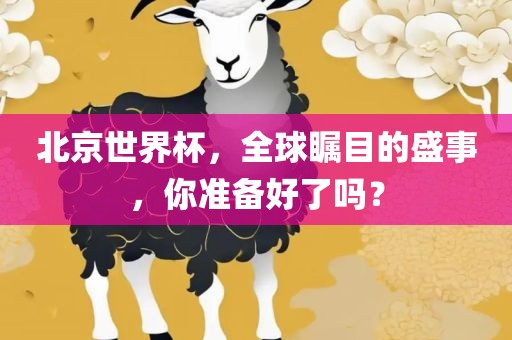 北京世界杯，全球瞩目的盛事，你准备好了吗？