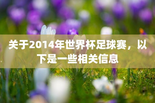 关于2014年世界杯足球赛，以下是一些相关信息