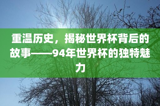 重温历史,揭秘世界杯背后的故事——94年世界杯的独特魅力