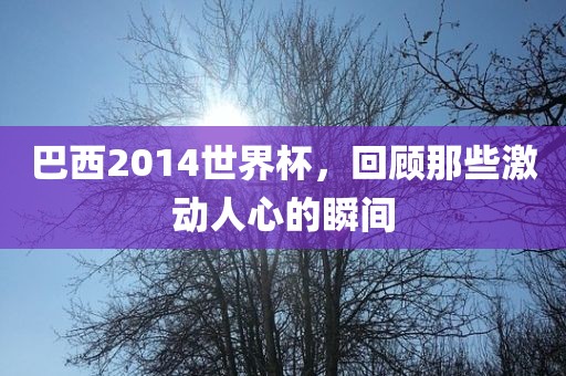 巴西2014世界杯，回顾那些激动人心的瞬间