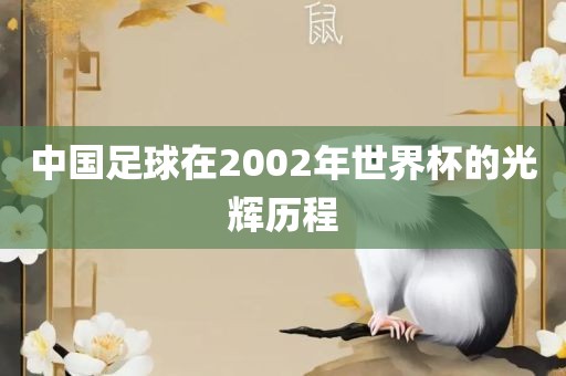 中国足球在2002年世界杯的光辉历程