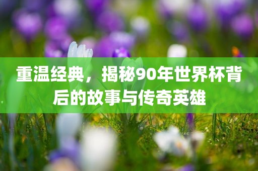 重温经典，揭秘90年世界杯背后的故事与传奇英雄