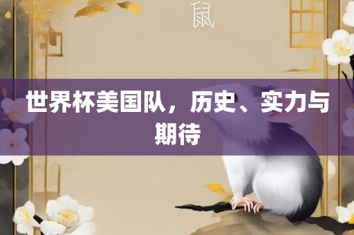 世界杯美国队,历史、实力与期待